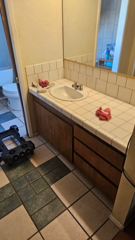 Before: original vanity and countertop